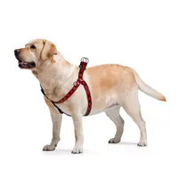 WAUDOG Nylon Harness з QR-паспортом  - фото 3