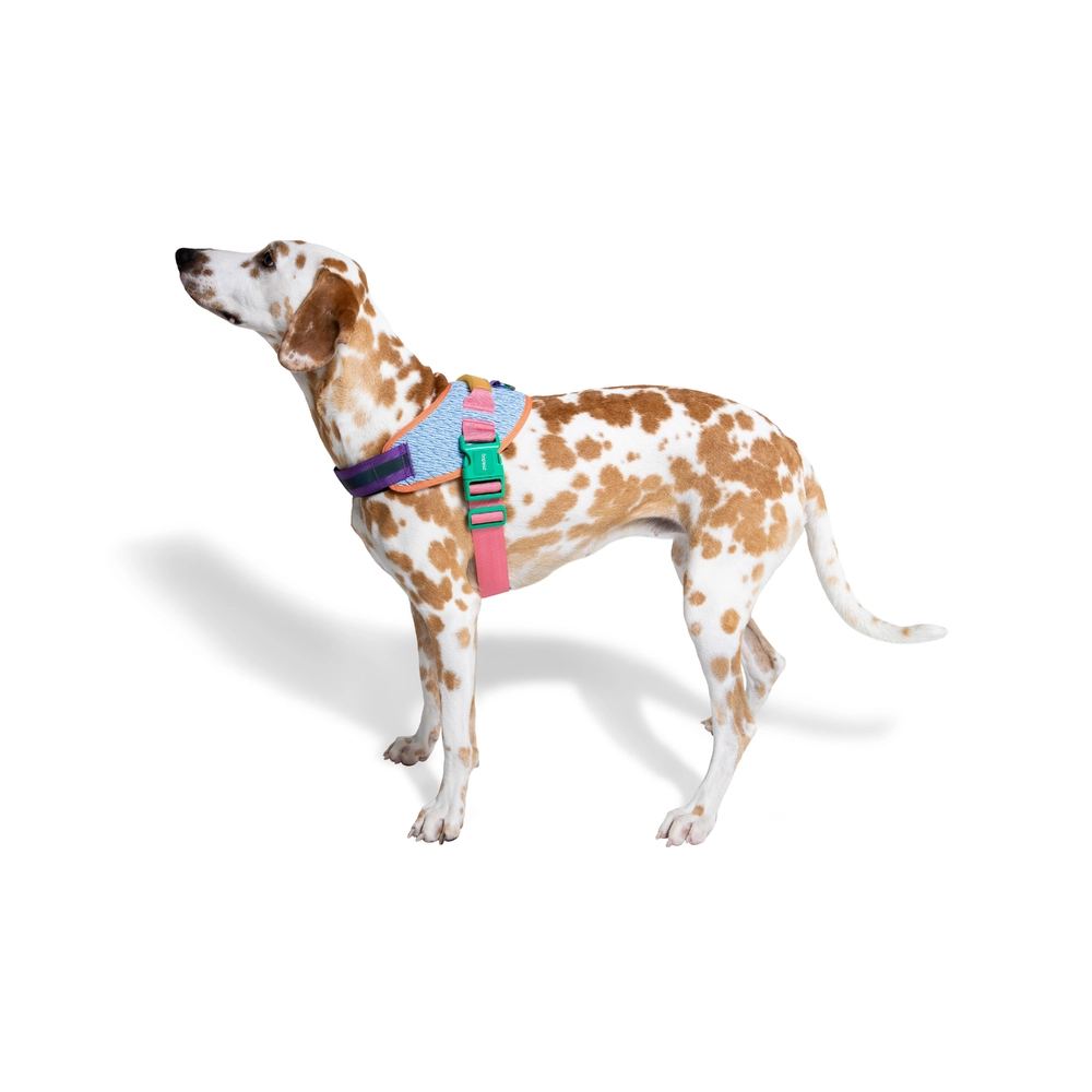 Zee.Dog Galaxy FlyHarness  - фото 5