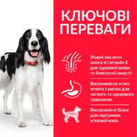 Hills Science Plan Medium Adult Dog Lamb & Rice  - фото 2