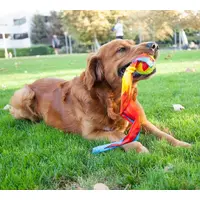 Outward Hound Comet Fetch Ball  - фото 3