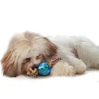 Petstages Mini Orka Ball  - фото 3
