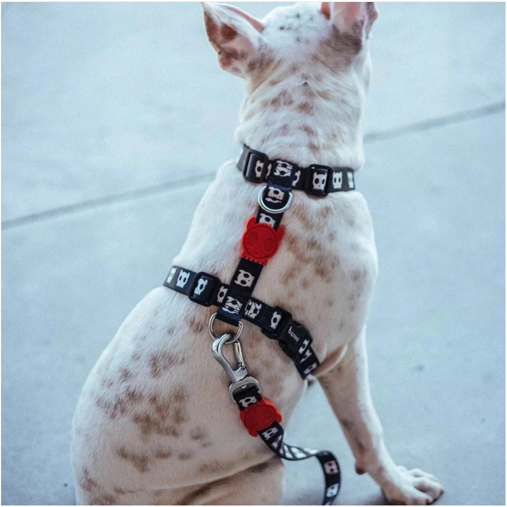 Zee.Dog Skull 2.0 H-Harness  - фото 3