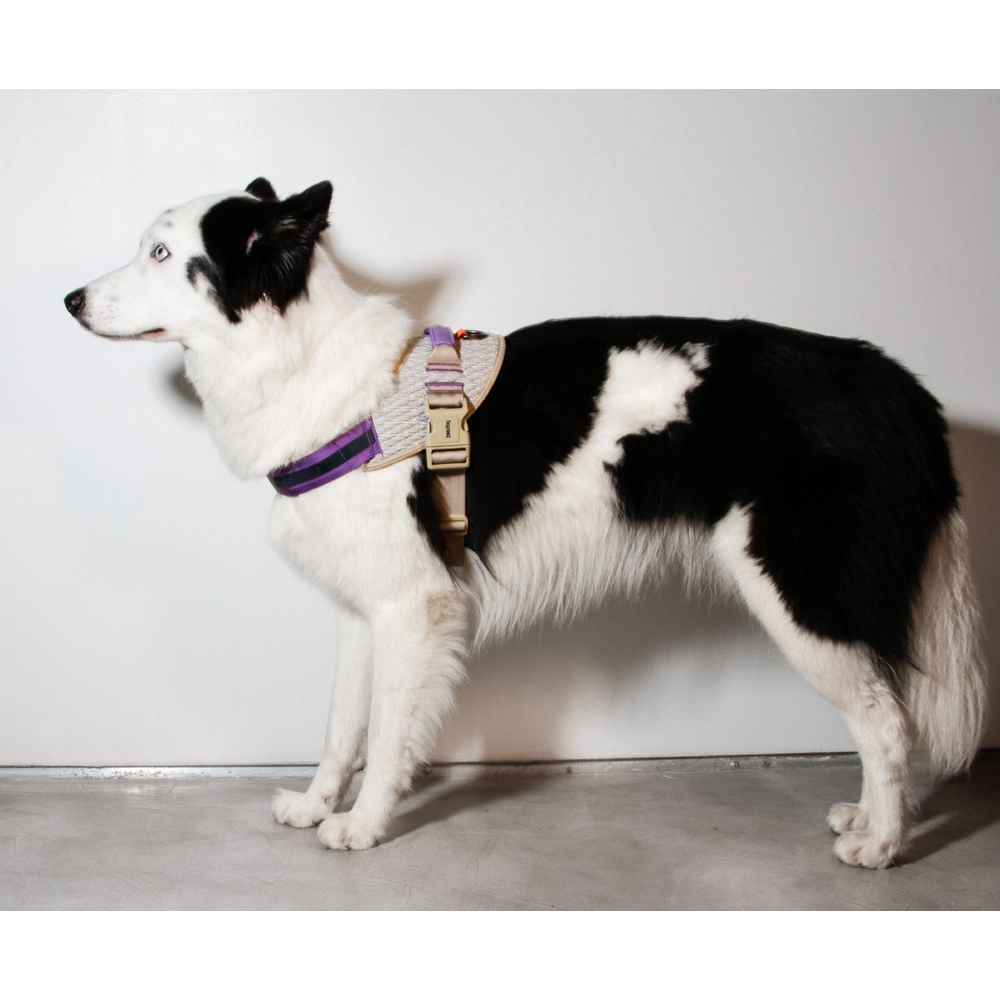 Zee.Dog ACG FlyHarness  - фото 6