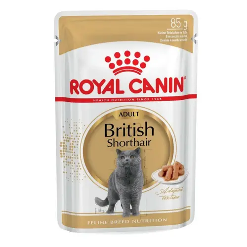 Royal Canin British Shorthair Adult Gravy