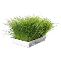 Trixie Softgrass Kittens  - фото 2