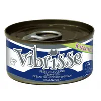 Vibrisse Kitten Ocean Fish 