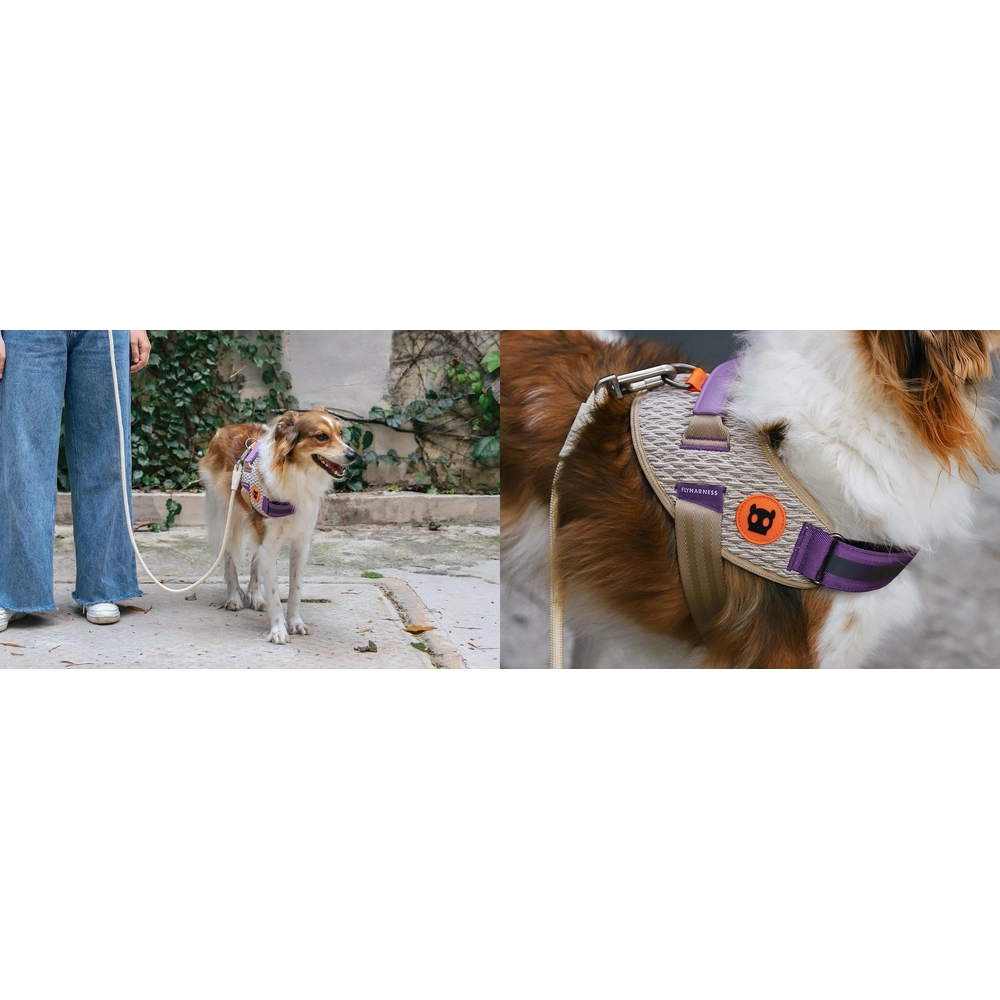 Zee.Dog ACG FlyHarness  - фото 7
