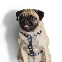 Zee.Dog Skull 2.0 H-Harness  - фото 4
