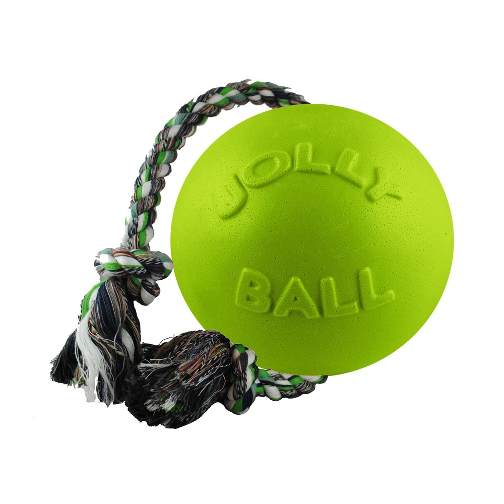 Jolly Pets Romp-n-Roll 