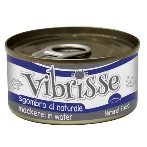 Vibrisse Mackerel