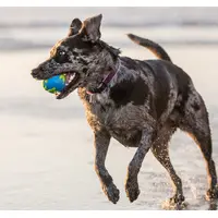 Planet Dog Orbee Ball  - фото 2