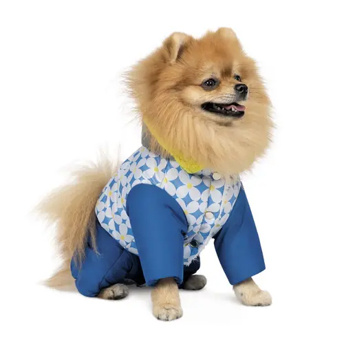 Pet Fashion TENDER 