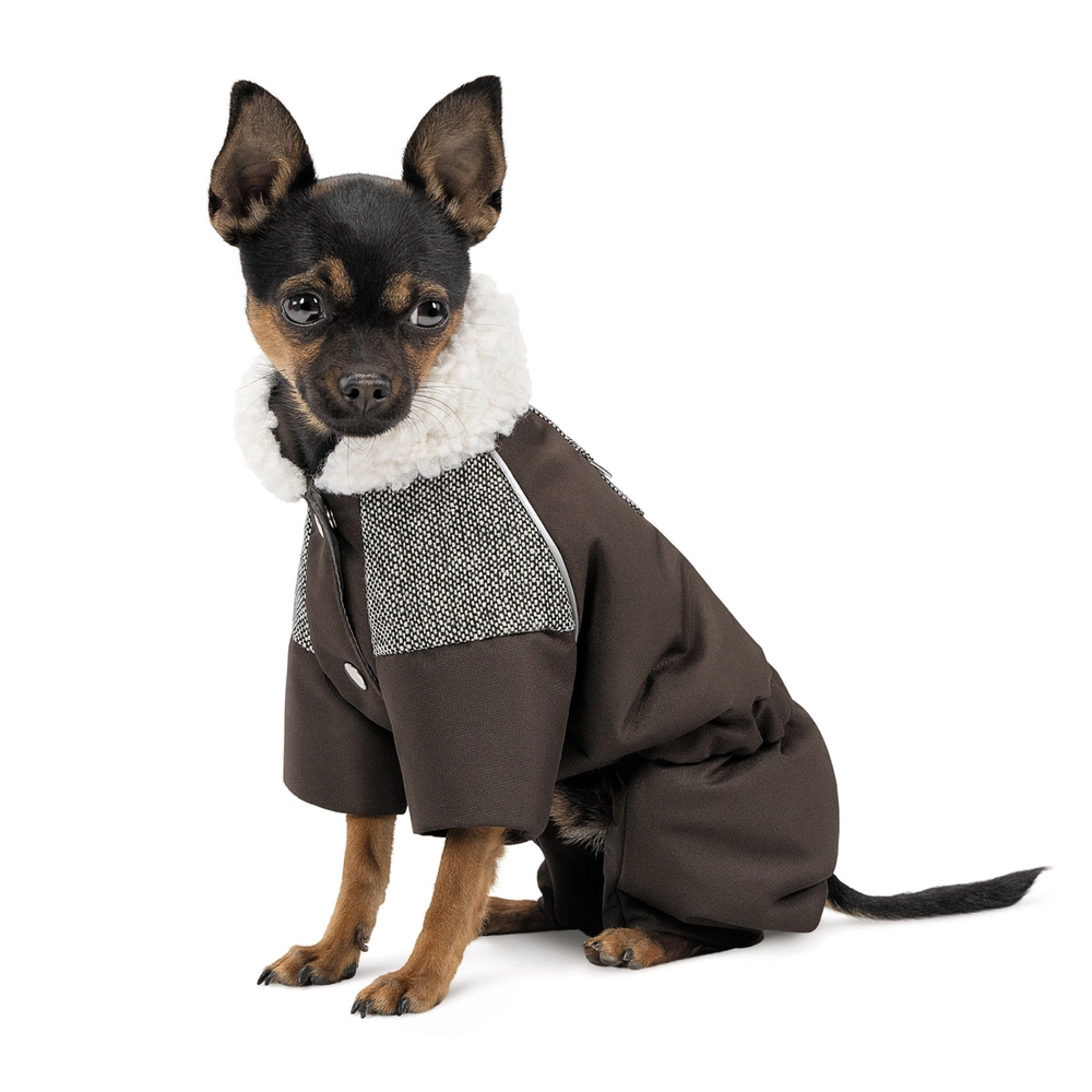Pet Fashion Костюм Locky  