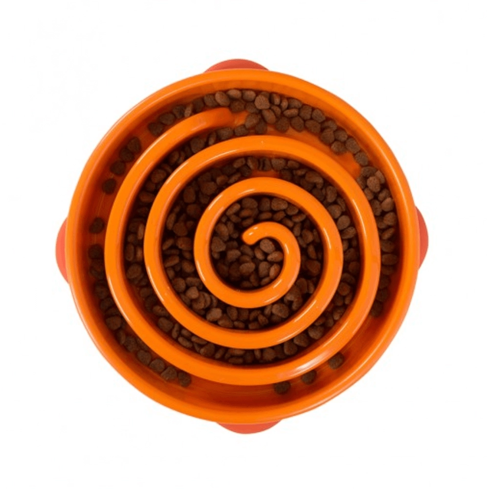 Outward Hound Fun Feeder Slo Bowl 