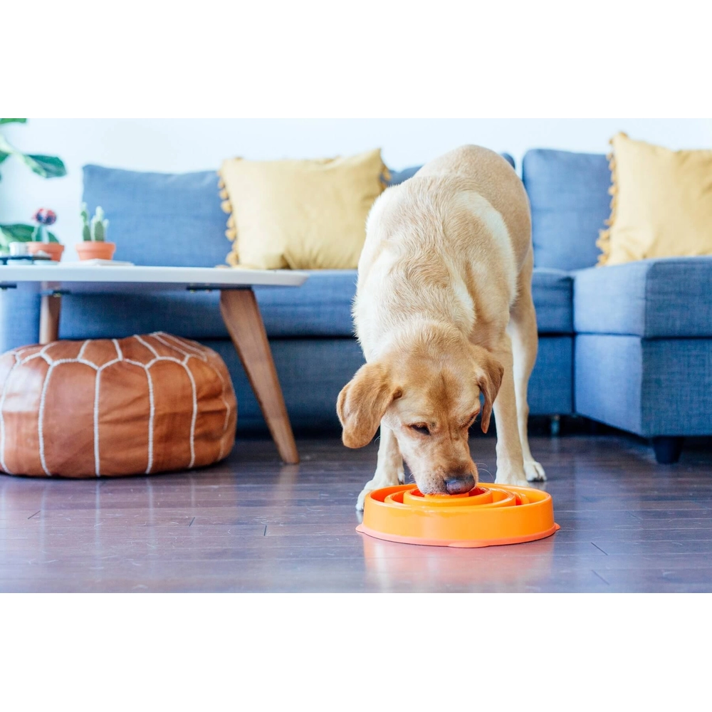 Outward Hound Fun Feeder Slo Bowl  - фото 4