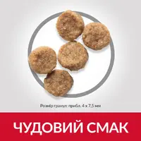 Hills Science Plan Small & Mini Mature Adult 7+ Dog Chicken  - фото 3