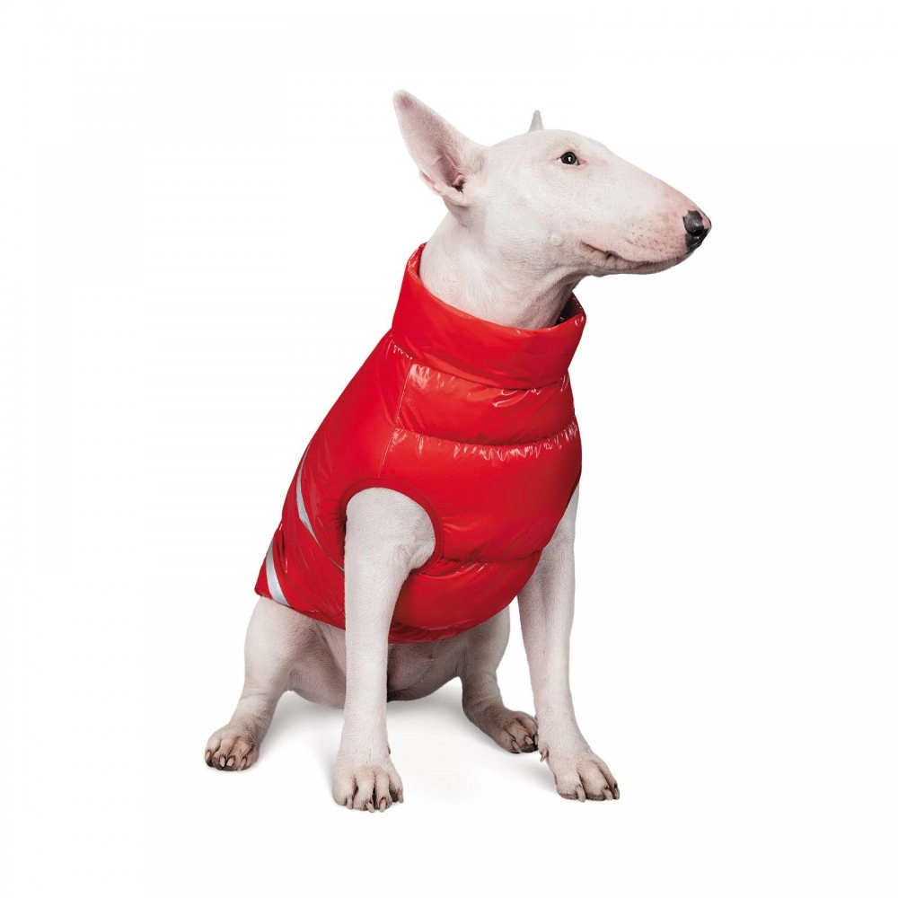 Pet Fashion BIG BOSS 