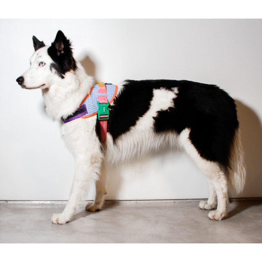 Zee.Dog Galaxy FlyHarness  - фото 6