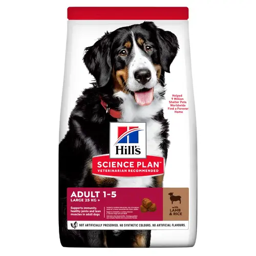 Hills Science Plan Large Breed Adult Dog Lamb & Rice