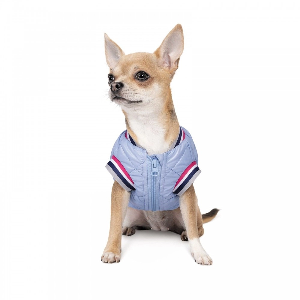 Pet Fashion Spike 