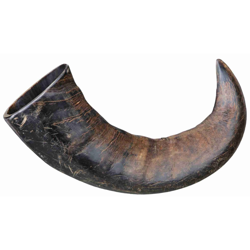 Trixie Buffalo Chewing Horn Big 