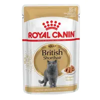 Royal Canin British Shorthair Adult Gravy