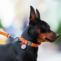 WAUDOG Innovative Waterproof Leash  - фото 4