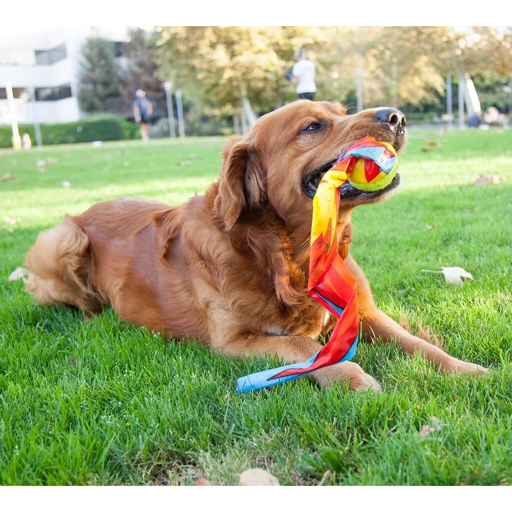 Outward Hound Comet Fetch Ball  - фото 3