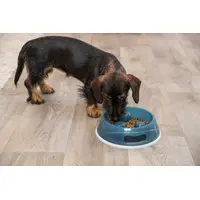 Trixie Slow Feeding Plastic Bowl  - фото 7