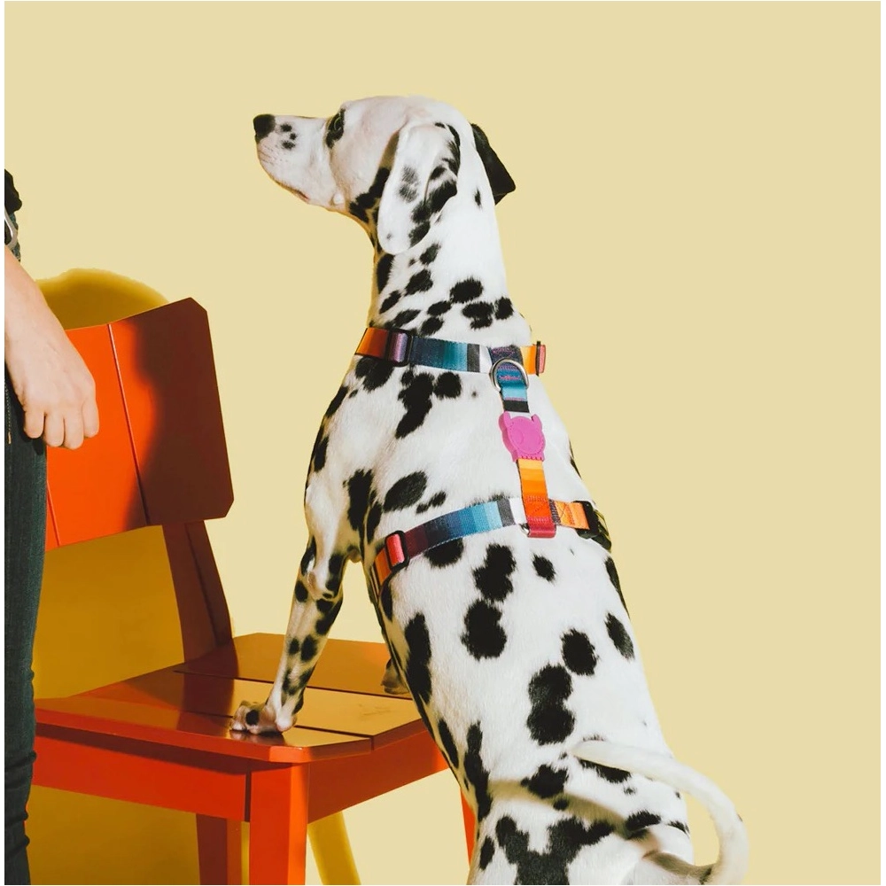Zee.Dog Prisma H-Harness  - фото 3