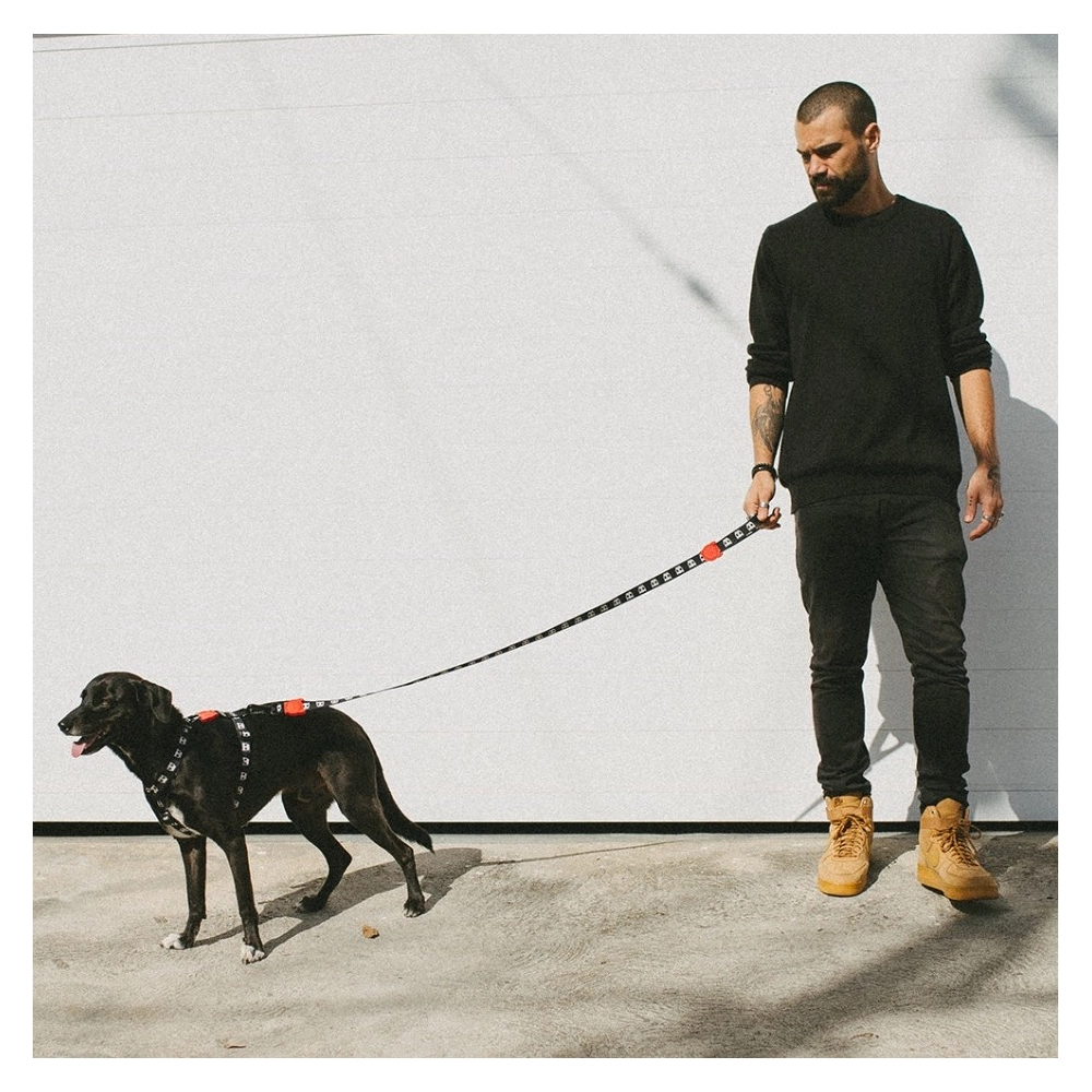 Zee.Dog Skull 2.0 Leash  - фото 4