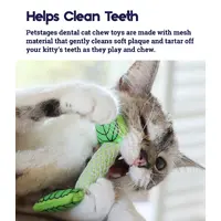Petstages Fresh Breath Mint Stick   - фото 3