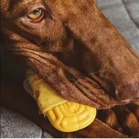 Zee.Dog Brain Fried  - фото 5
