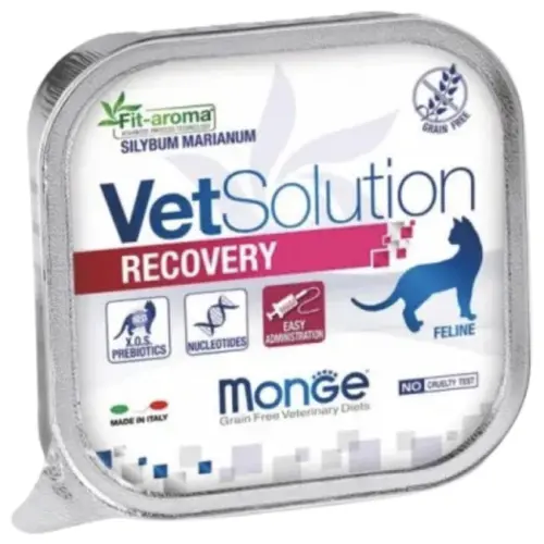 Monge VetSolution Recovery feline 