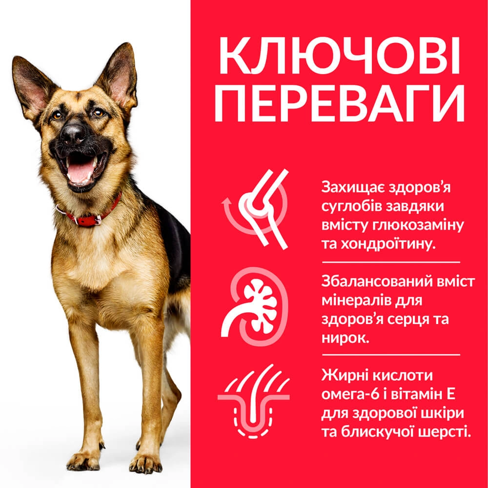 Hills Science Plan Large Breed Mature Adult 6+ Dog Chicken  - фото 2