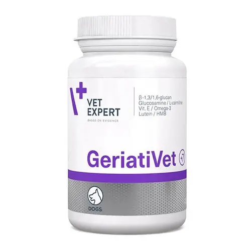 VetExpert GeriatiVet Dog