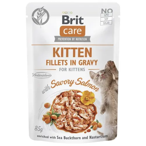 Brit Care Cat Pouch Kitten с лососем, облепихой и настурцией