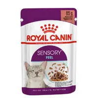 Royal Canin Sensory Feel Morsels in Gravy 