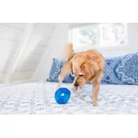 Planet Dog Lil Snoop  - фото 3