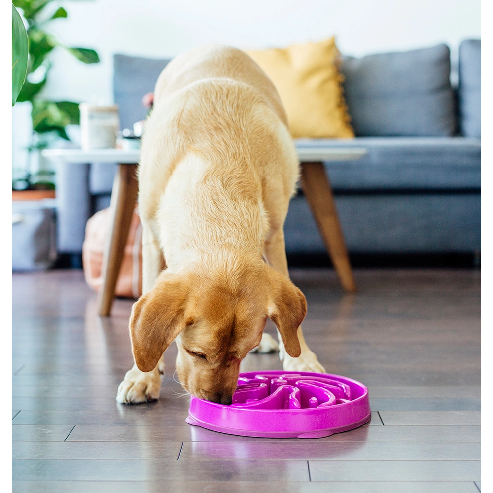 Outward Hound Fun Feeder Slo Bowl  - фото 6