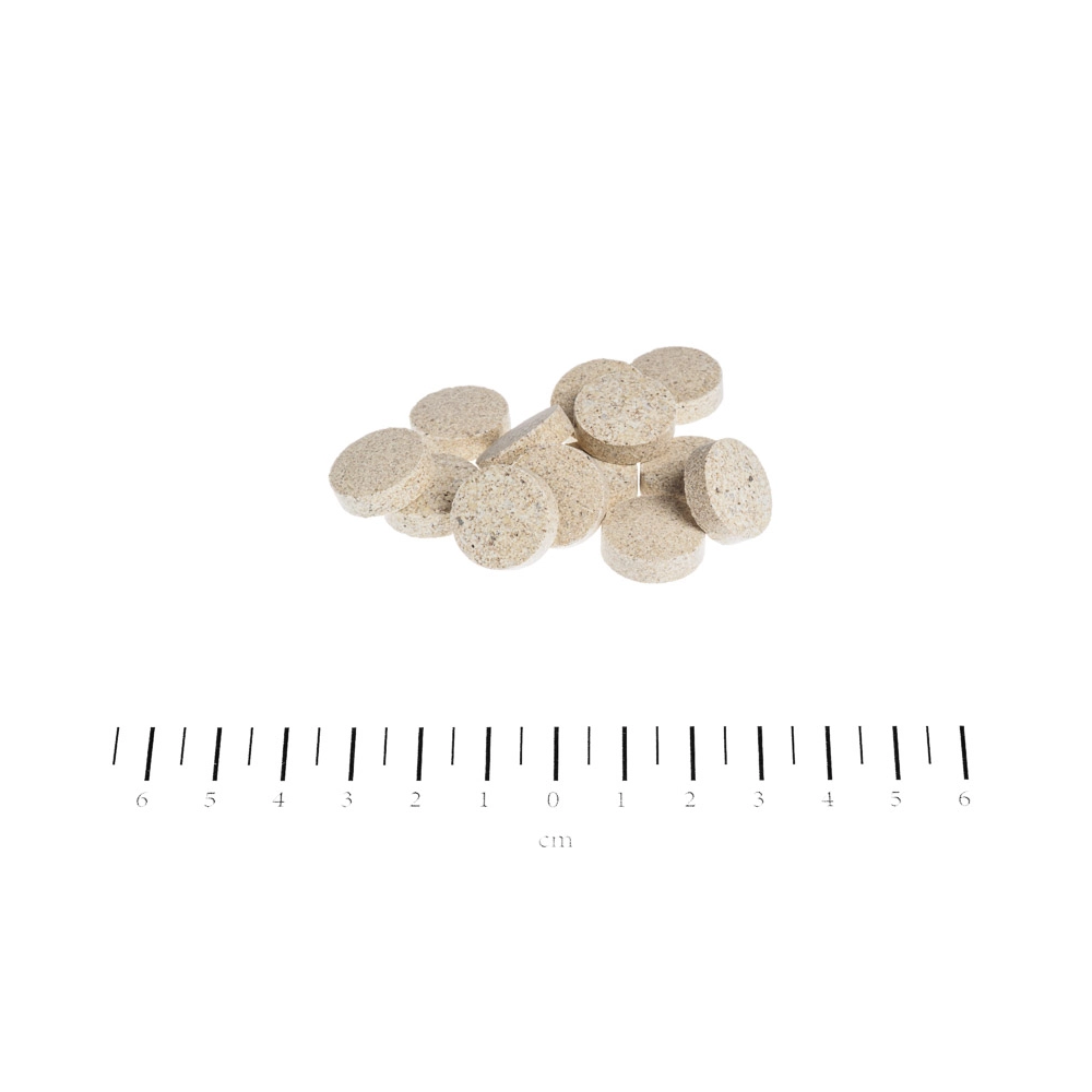 Canina Caniletten Tabletten  - фото 2