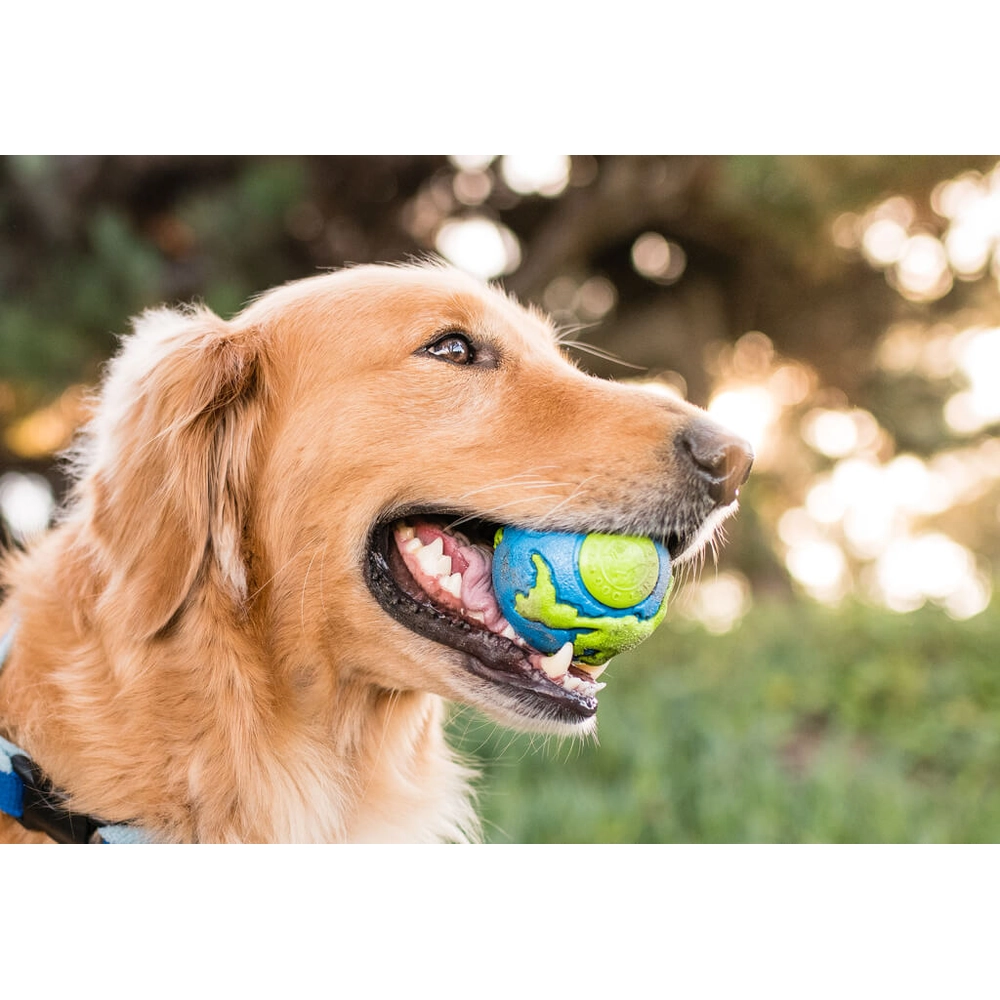 Planet Dog Orbee Ball  - фото 3