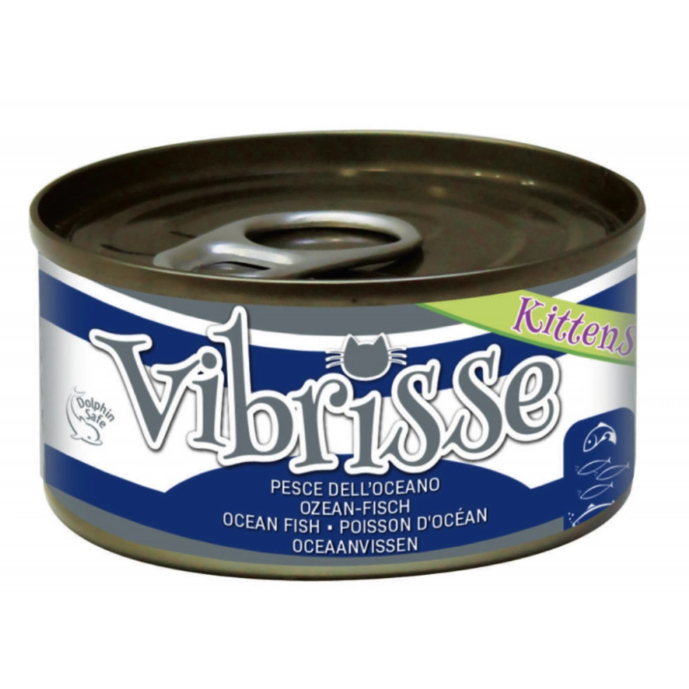 Vibrisse Kitten Ocean Fish  