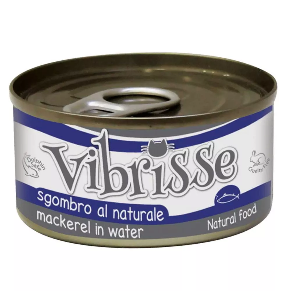 Vibrisse Mackerel 
