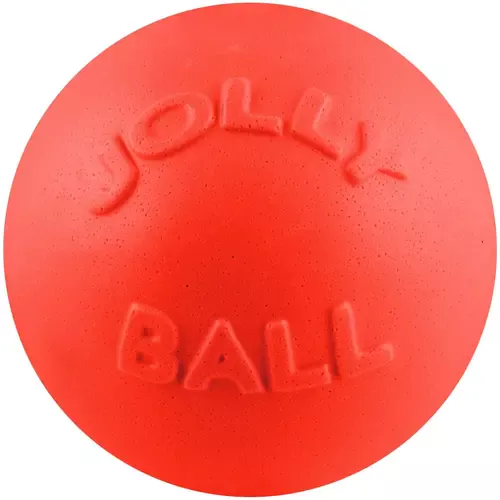 Jolly Pets Bounce-n-Play