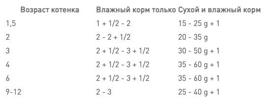 нормы кормления котенка
