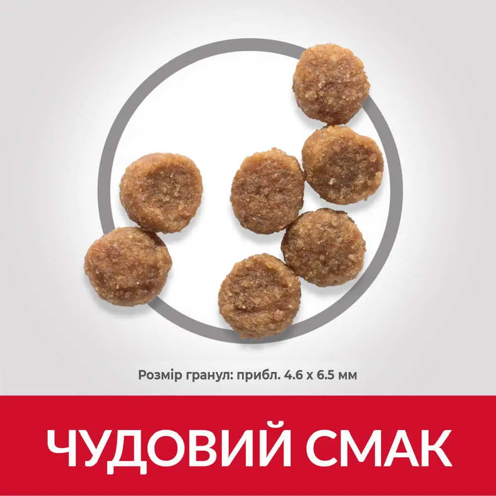 Hills Science Plan Small & Mini Puppy Chicken  - фото 2